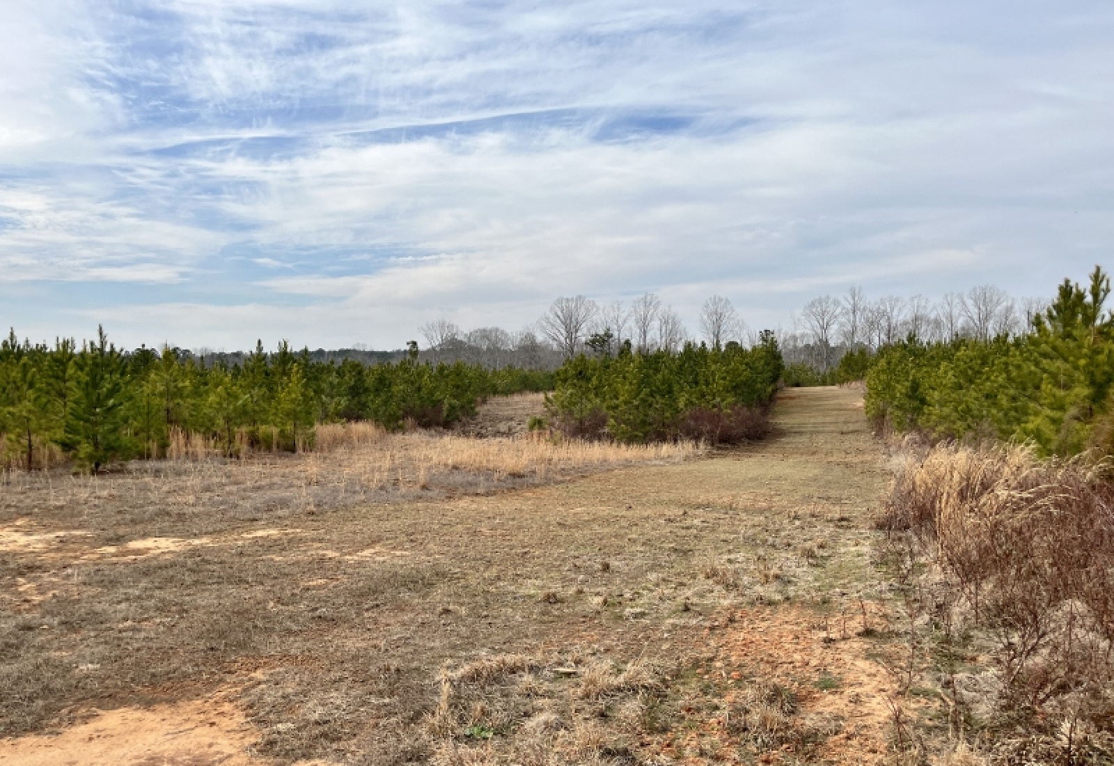McCormick County, 0 , 0 ,0,Land,Active,0,1198