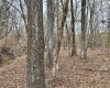 McCormick County, 0 , 0 ,0,Land,Active,0,1198