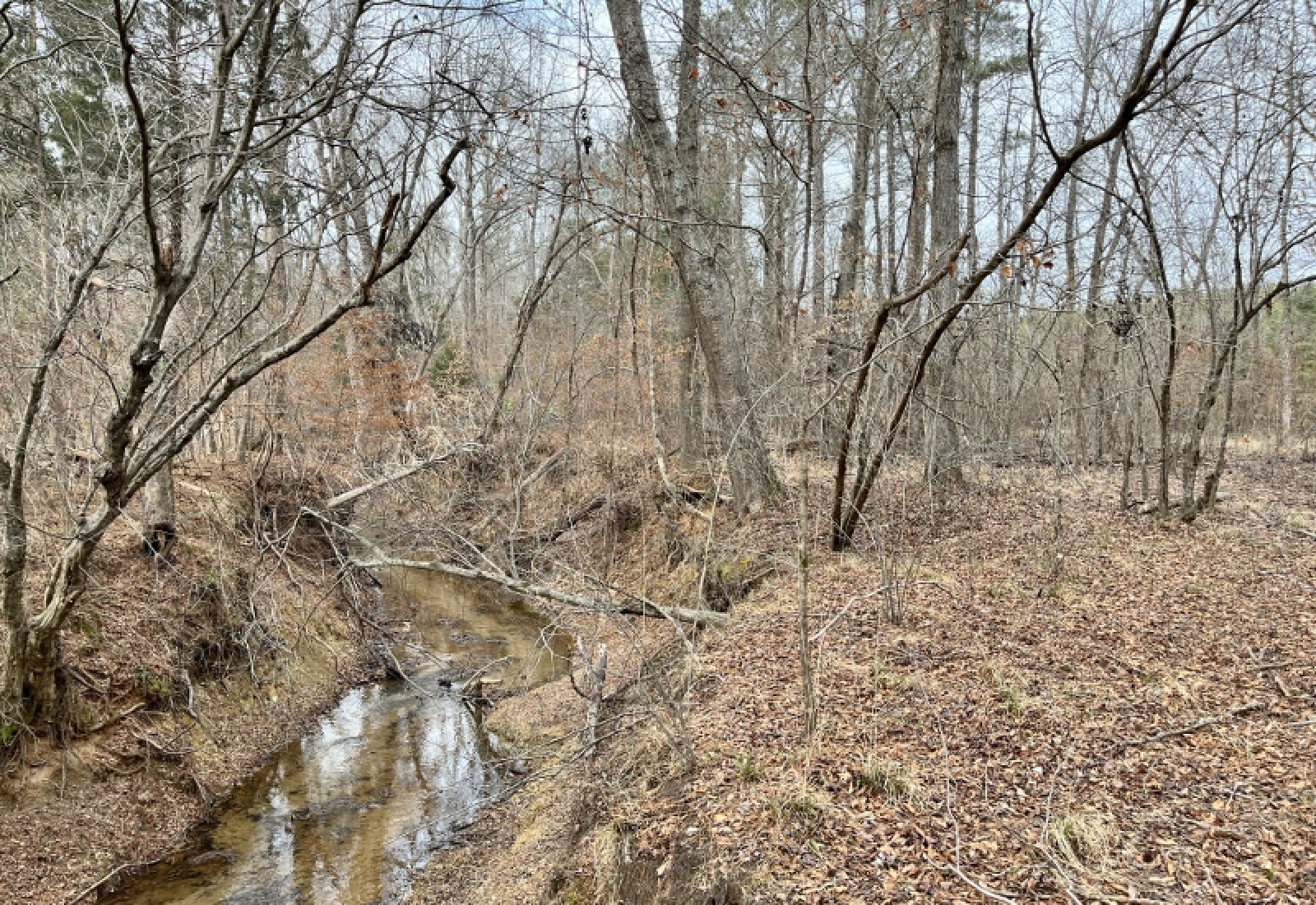 McCormick County, 0 , 0 ,0,Land,Active,0,1198