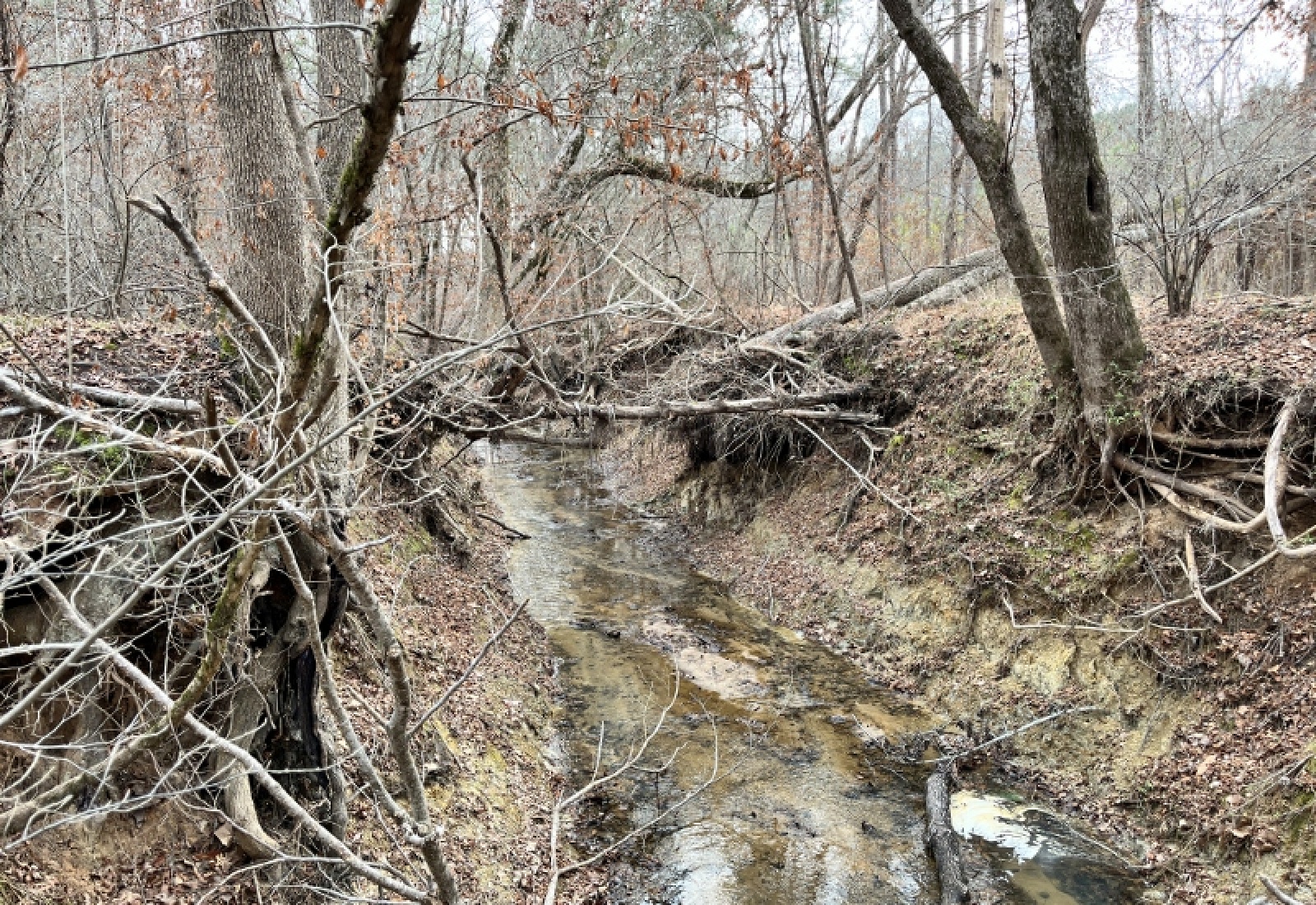 McCormick County, 0 , 0 ,0,Land,Active,0,1198