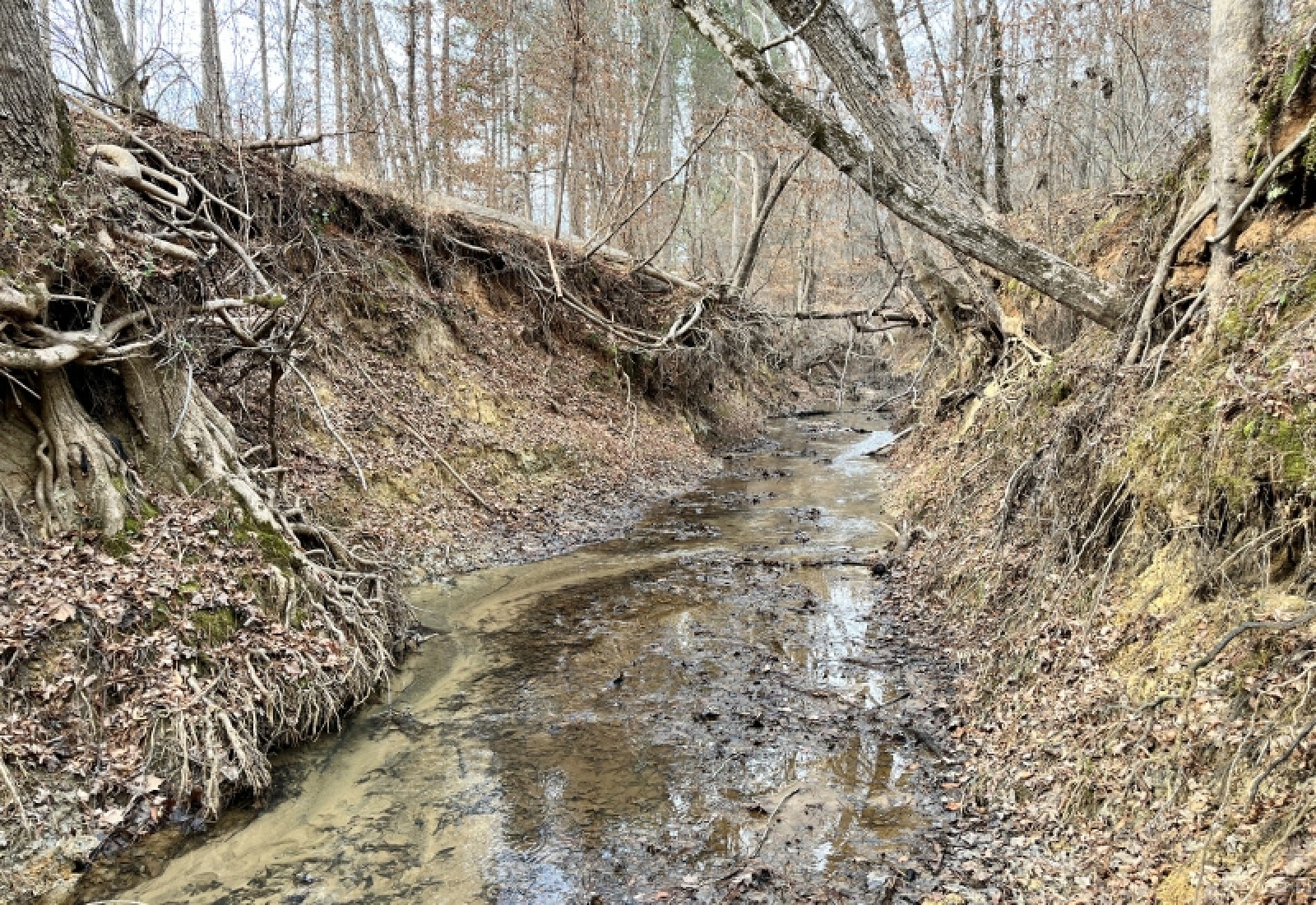 McCormick County, 0 , 0 ,0,Land,Active,0,1198