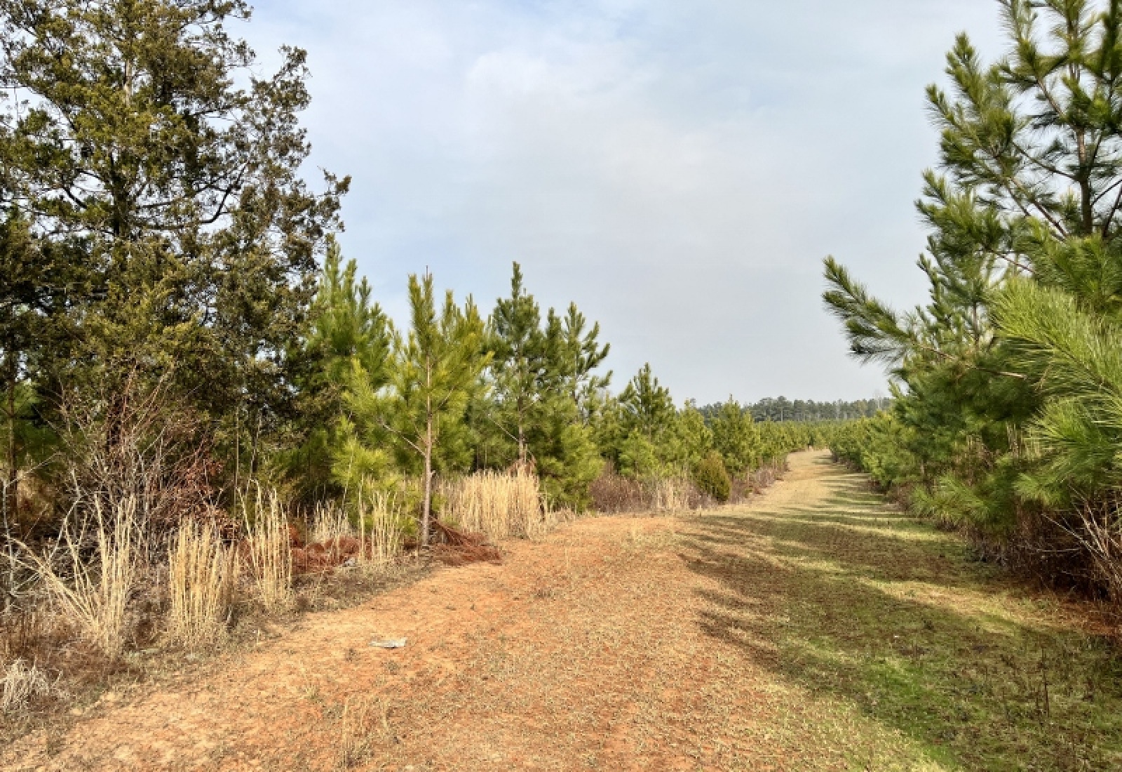 McCormick County, 0 , 0 ,0,Land,Active,0,1198