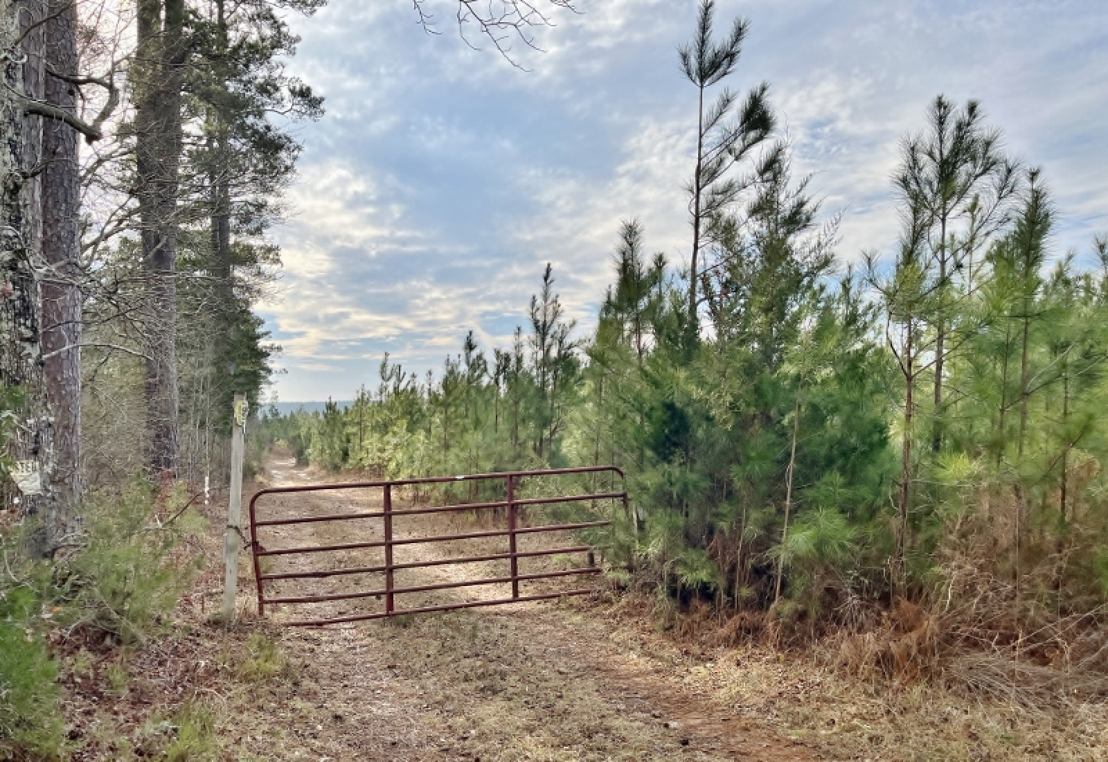 McCormick County, 0 , 0 ,0,Land,Active,0,1198