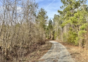 McCormick County, 0 , 0 ,0,Land,Active,0,1198