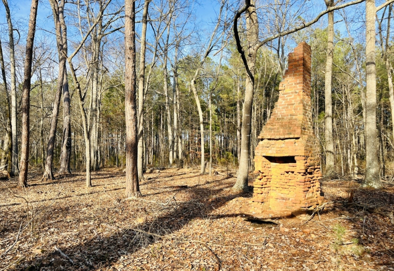 Greenwood County, 0 , 0 ,0,Land,Active,0,1199