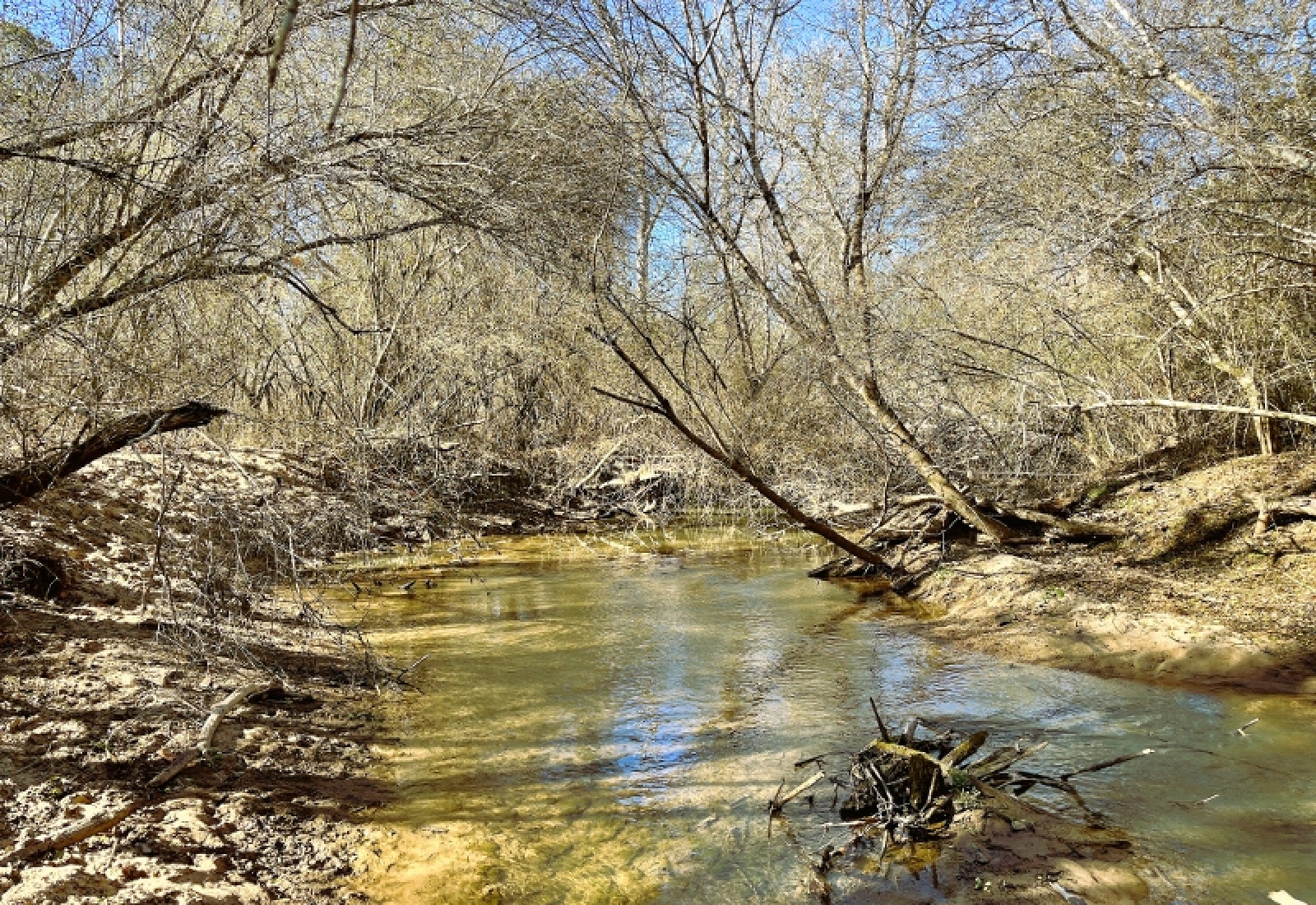 Greenwood County, 0 , 0 ,0,Land,Active,0,1200 Greenwood County, 0 , 0 ,0,Land,Active,0,1200
