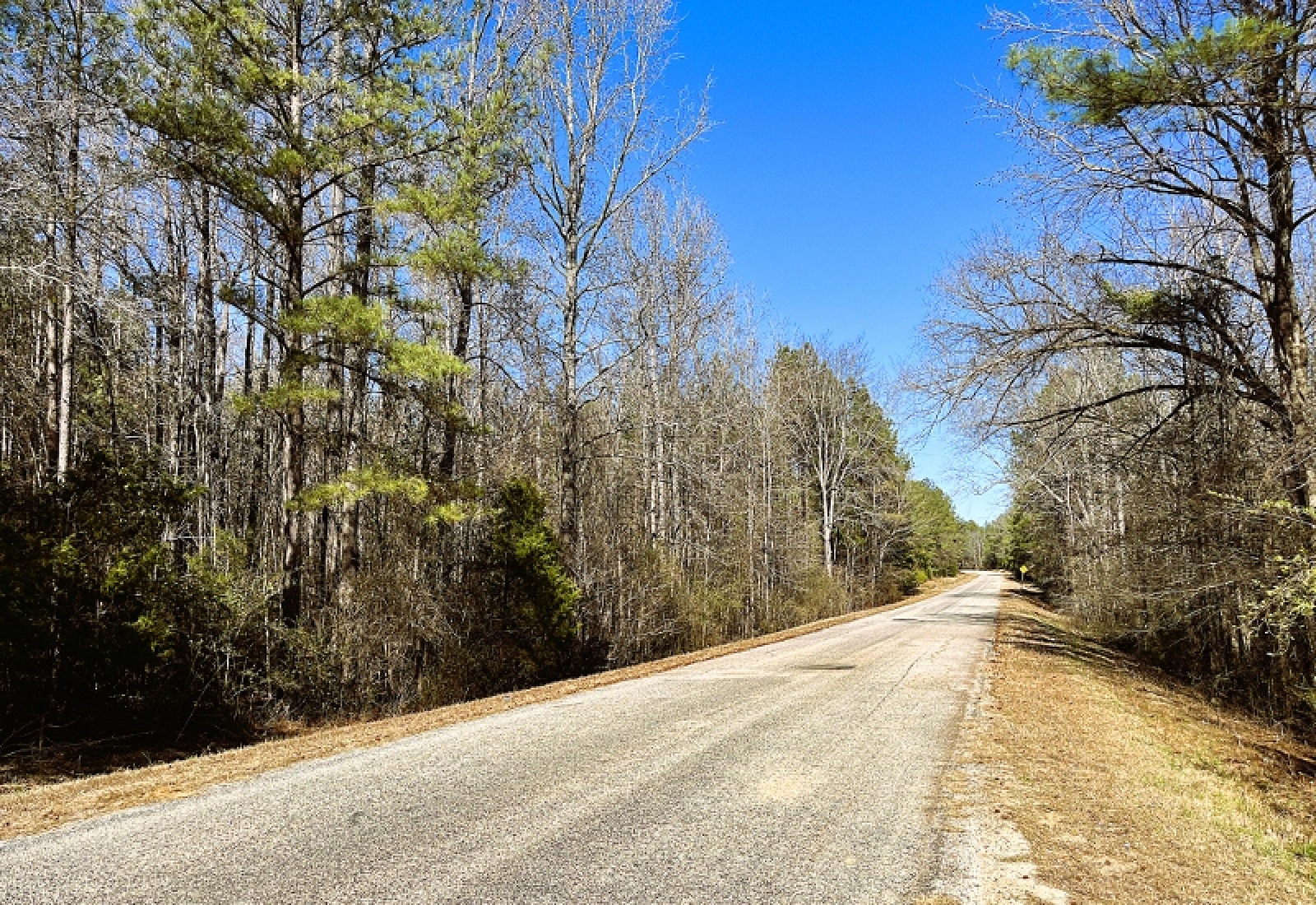 Greenwood County, 0 , 0 ,0,Land,Active,0,1200 Greenwood County, 0 , 0 ,0,Land,Active,0,1200