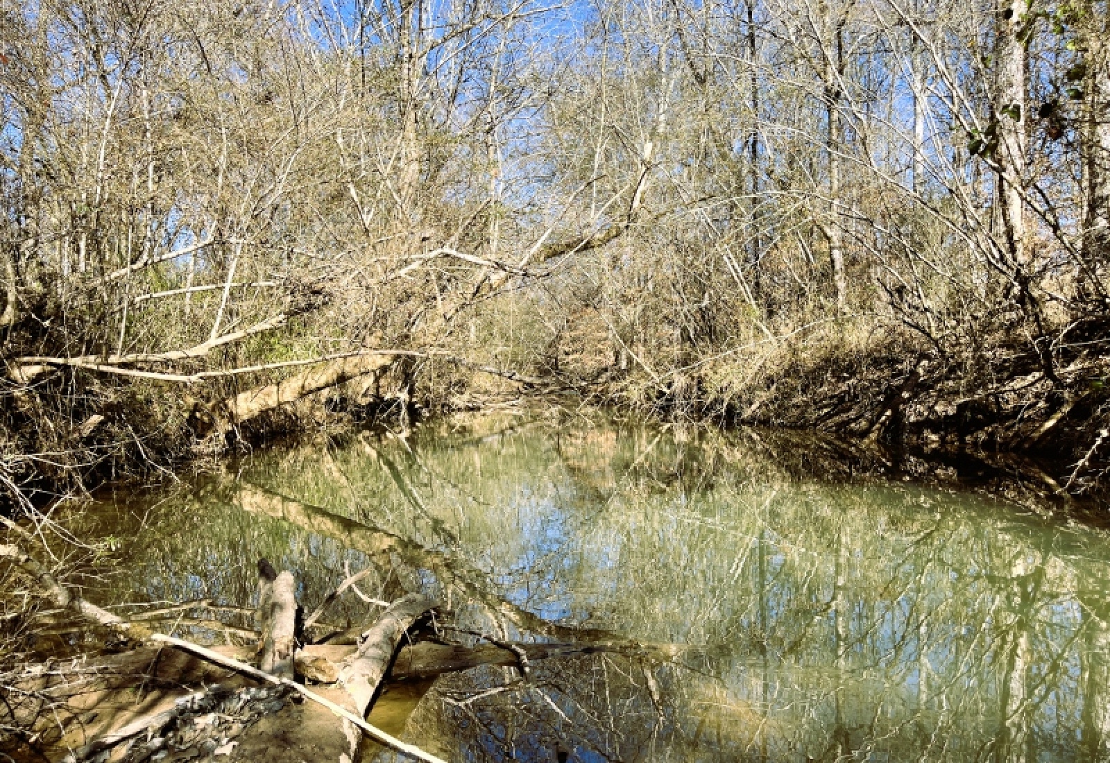 Greenwood County, 0 , 0 ,0,Land,Active,0,1200 Greenwood County, 0 , 0 ,0,Land,Active,0,1200
