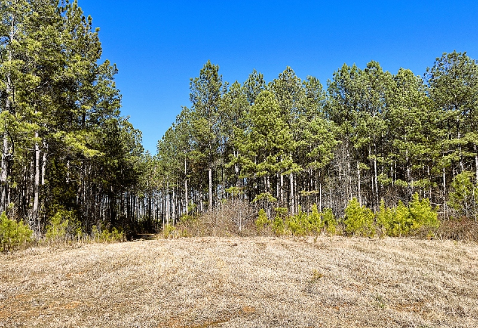 Greenwood County, 0 , 0 ,0,Land,Active,0,1200 Greenwood County, 0 , 0 ,0,Land,Active,0,1200