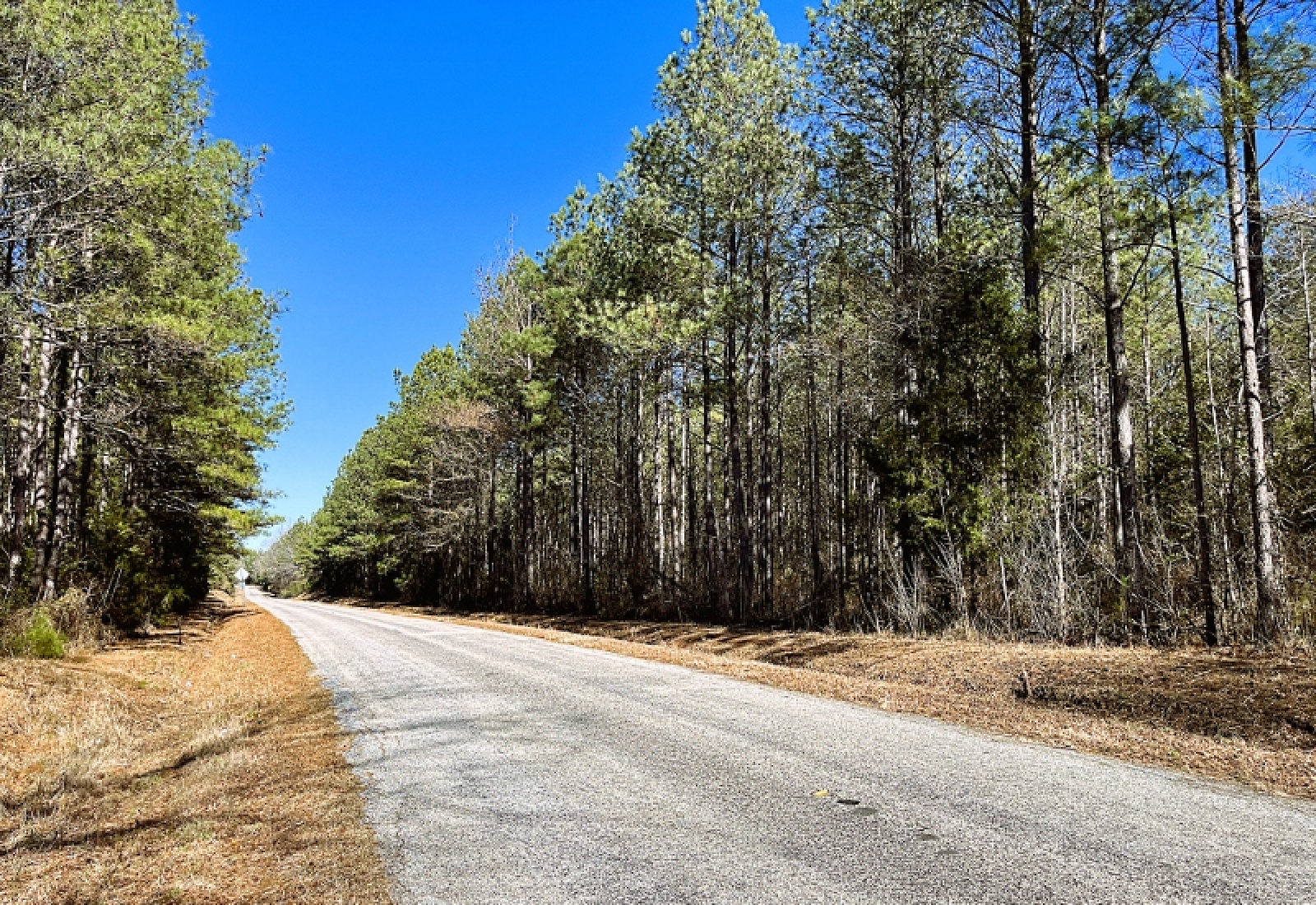 Greenwood County, 0 , 0 ,0,Land,Active,0,1200 Greenwood County, 0 , 0 ,0,Land,Active,0,1200