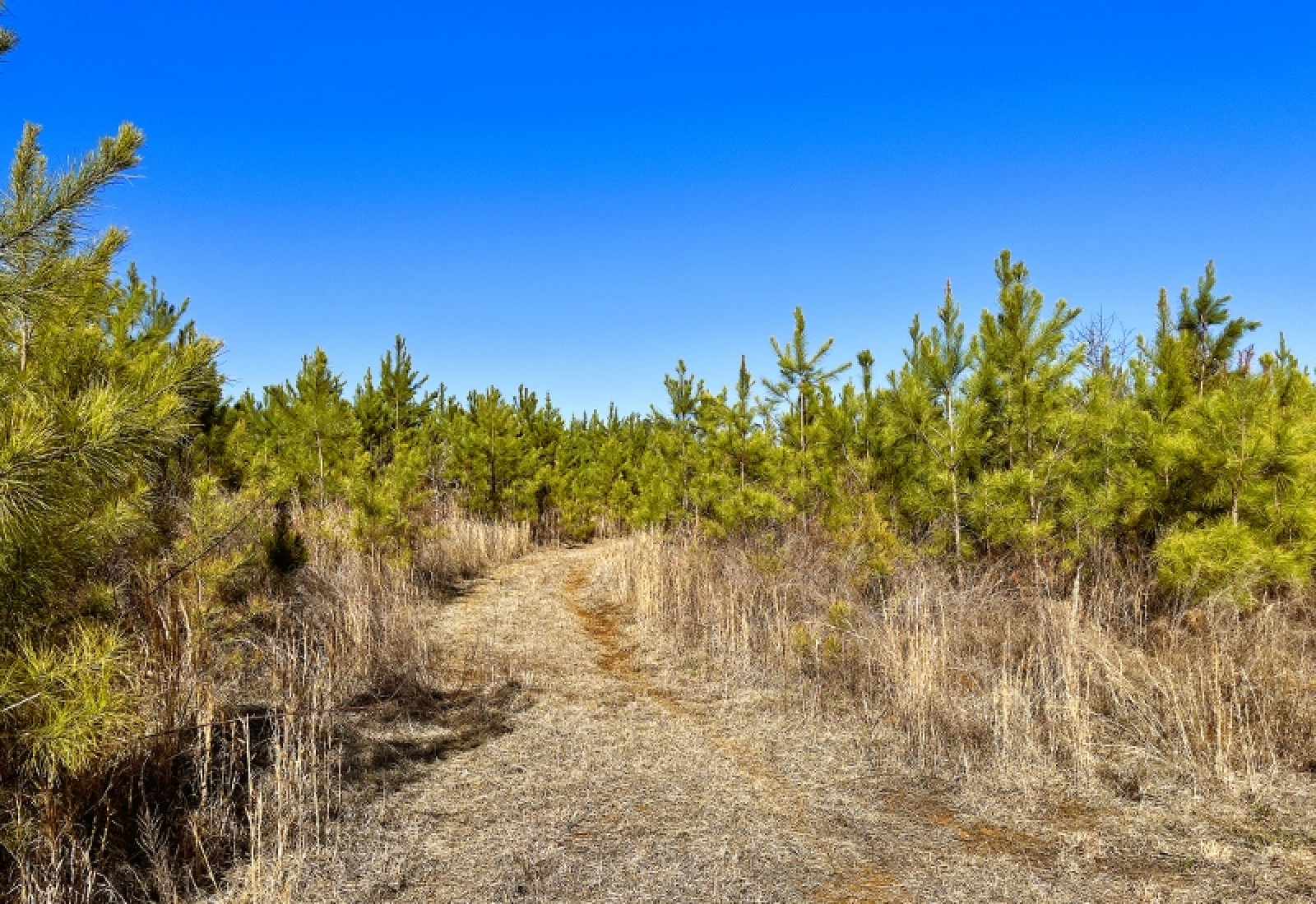 Greenwood County, 0 , 0 ,0,Land,Active,0,1200 Greenwood County, 0 , 0 ,0,Land,Active,0,1200