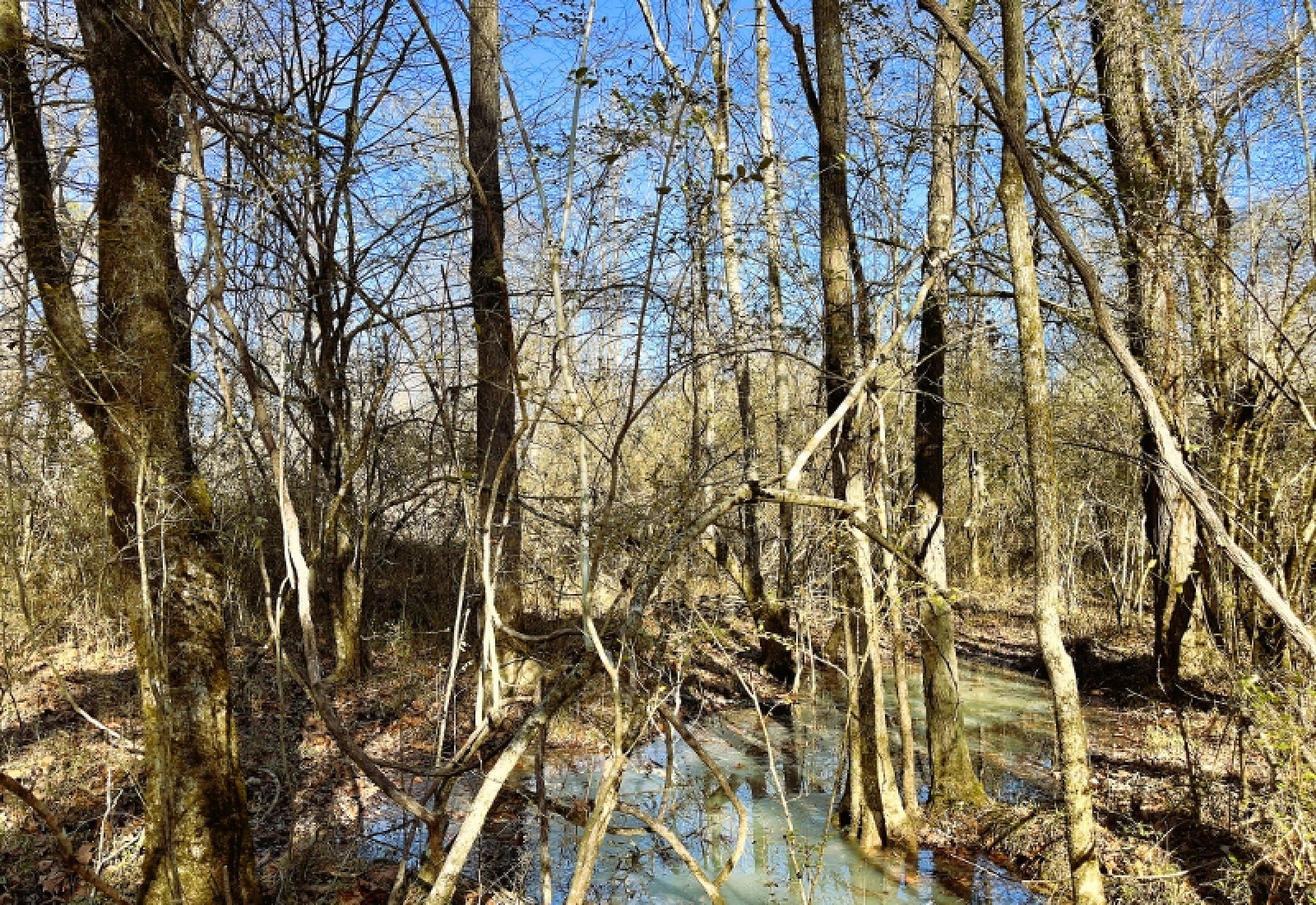 Greenwood County, 0 , 0 ,0,Land,Active,0,1200 Greenwood County, 0 , 0 ,0,Land,Active,0,1200