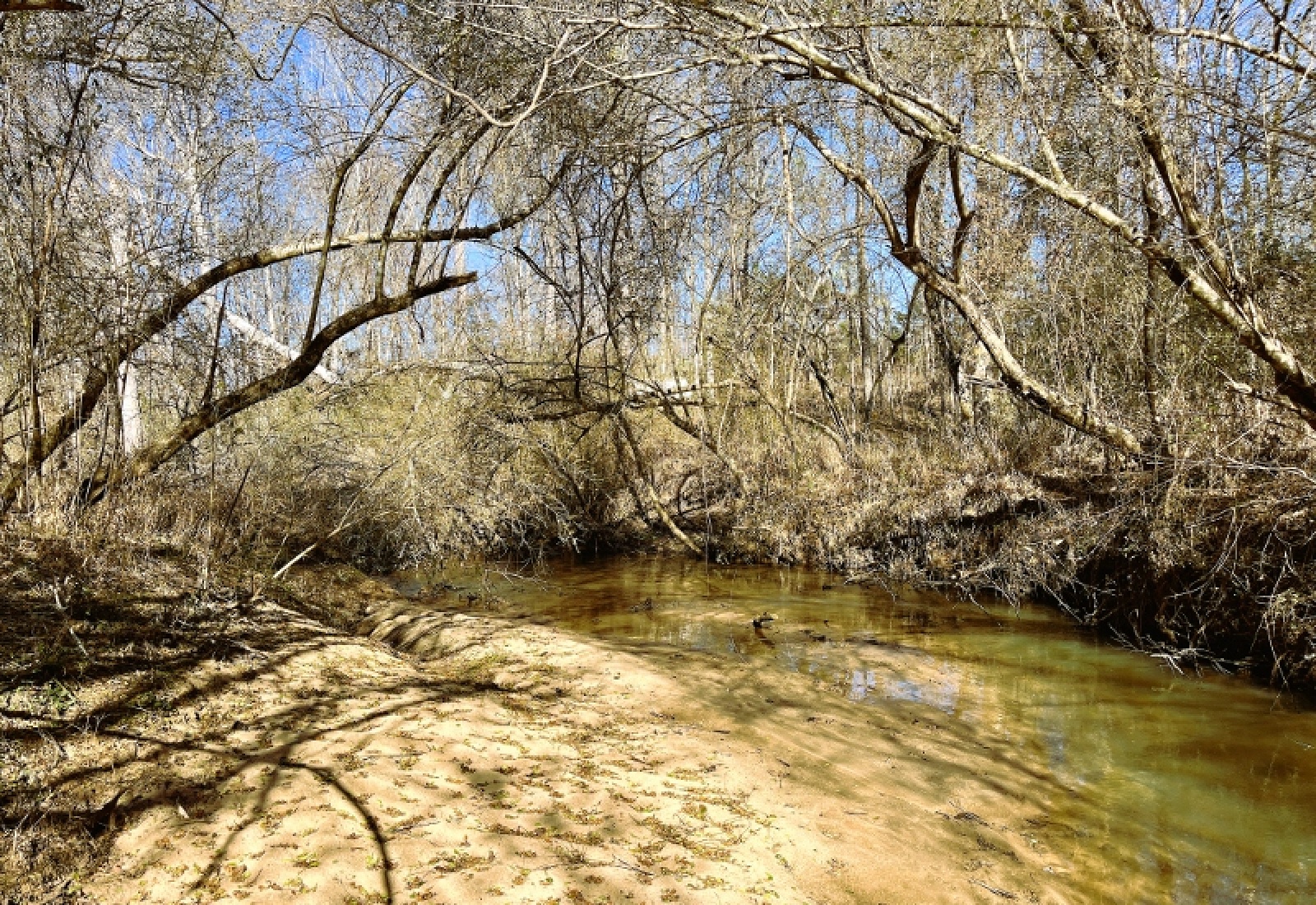 Greenwood County, 0 , 0 ,0,Land,Active,0,1200 Greenwood County, 0 , 0 ,0,Land,Active,0,1200