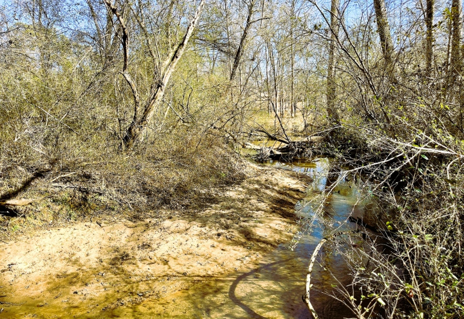 Greenwood County, 0 , 0 ,0,Land,Active,0,1200 Greenwood County, 0 , 0 ,0,Land,Active,0,1200