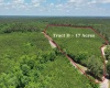 Edgefield County, 0 , 0 ,0,Land,Active,0,1202 Edgefield County, 0 , 0 ,0,Land,Active,0,1202