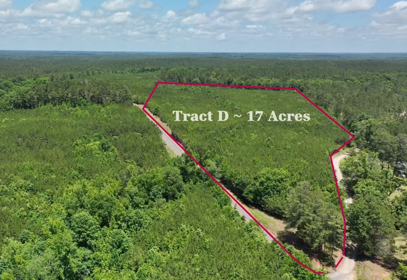 Edgefield County, 0 , 0 ,0,Land,Active,0,1202 Edgefield County, 0 , 0 ,0,Land,Active,0,1202