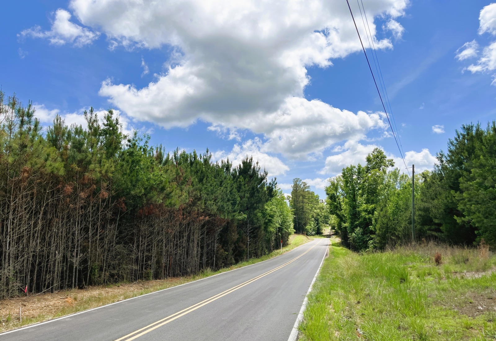 Edgefield County, 0 , 0 ,0,Land,Active,0,1202 Edgefield County, 0 , 0 ,0,Land,Active,0,1202