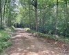 Edgefield County, 0 , 0 ,0,Land,Active,0,1203 Edgefield County, 0 , 0 ,0,Land,Active,0,1203