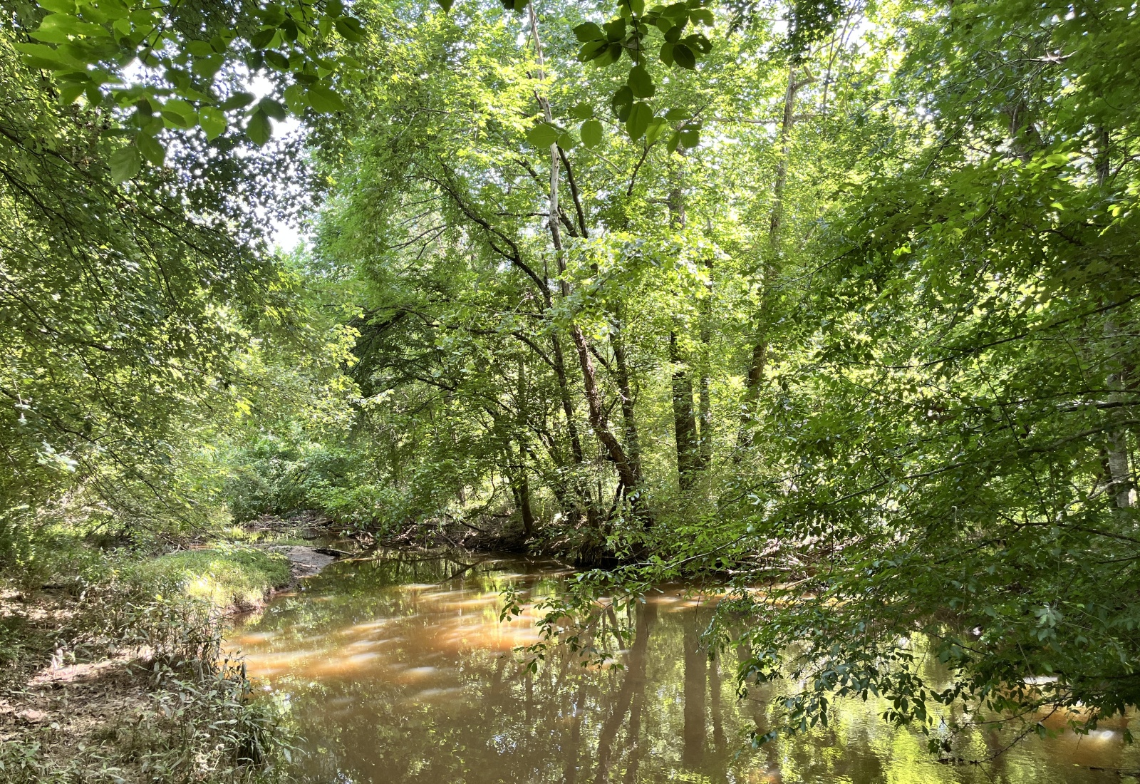 Greenwood County, 0 , 0 ,0,Land,Active,0,1207 Greenwood County, 0 , 0 ,0,Land,Active,0,1207