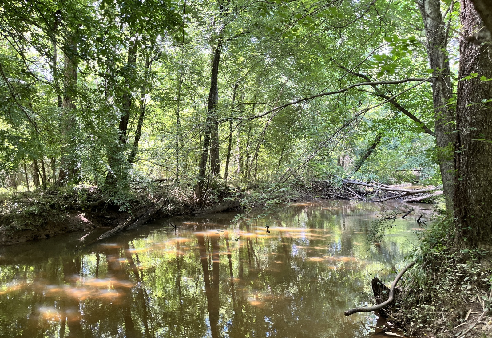 Greenwood County, 0 , 0 ,0,Land,Active,0,1207 Greenwood County, 0 , 0 ,0,Land,Active,0,1207
