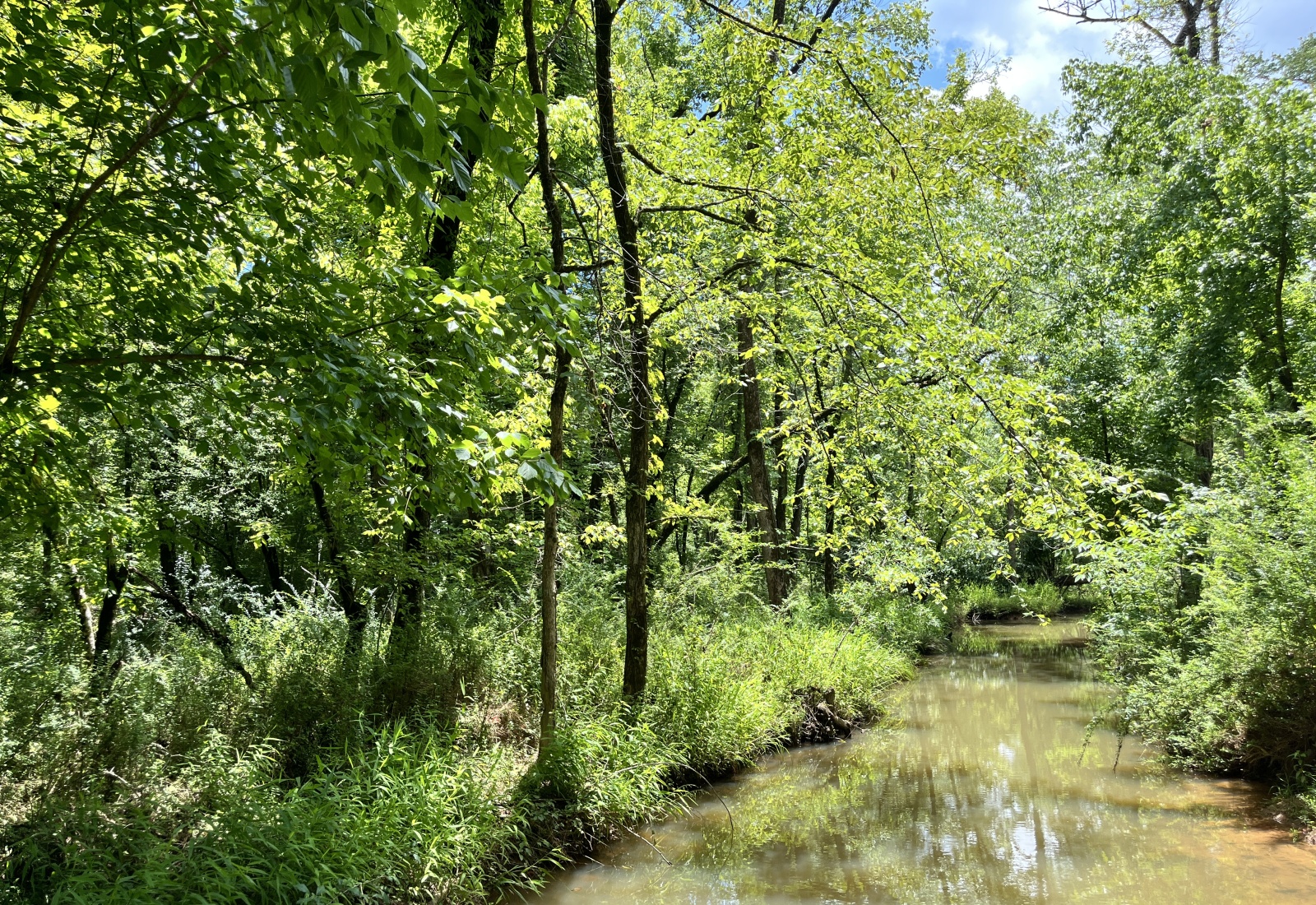 Greenwood County, 0 , 0 ,0,Land,Active,0,1207 Greenwood County, 0 , 0 ,0,Land,Active,0,1207