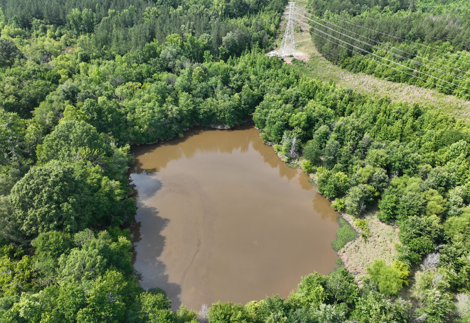 Greenwood County, 0 , 0 ,0,Land,Active,0,1207 Greenwood County, 0 , 0 ,0,Land,Active,0,1207