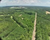 Greenwood County, 0 , 0 ,0,Land,Active,0,1207 Greenwood County, 0 , 0 ,0,Land,Active,0,1207
