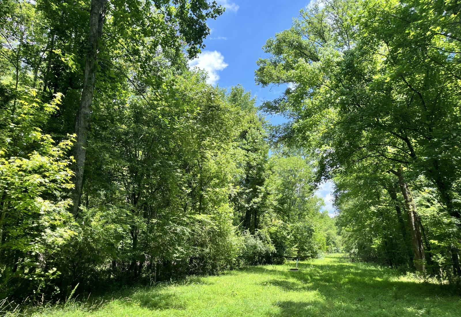 Greenwood County, 0 , 0 ,0,Land,Active,0,1207 Greenwood County, 0 , 0 ,0,Land,Active,0,1207