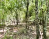 Greenwood County, 0 , 0 ,0,Land,Active,0,1207 Greenwood County, 0 , 0 ,0,Land,Active,0,1207