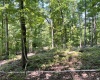 Abbeville County, 0 , 0 ,0,Land,Active,0,1211