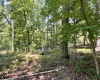Abbeville County, 0 , 0 ,0,Land,Active,0,1211