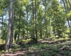 Abbeville County, 0 , 0 ,0,Land,Active,0,1211
