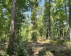 Abbeville County, 0 , 0 ,0,Land,Active,0,1211