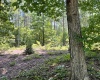 Abbeville County, 0 , 0 ,0,Land,Active,0,1211