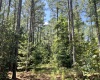 Abbeville County, 0 , 0 ,0,Land,Active,0,1211