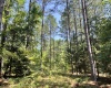 Abbeville County, 0 , 0 ,0,Land,Active,0,1211