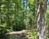 Abbeville County, 0 , 0 ,0,Land,Active,0,1211