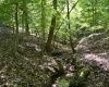 Abbeville County, 0 , 0 ,0,Land,Active,0,1211