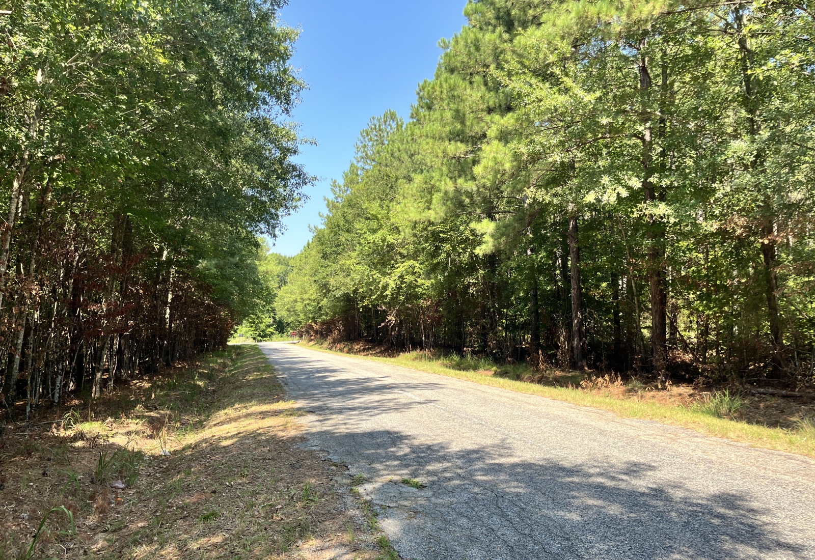 Abbeville County, 0 , 0 ,0,Land,Active,0,1212