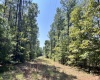 Abbeville County, 0 , 0 ,0,Land,Active,0,1212