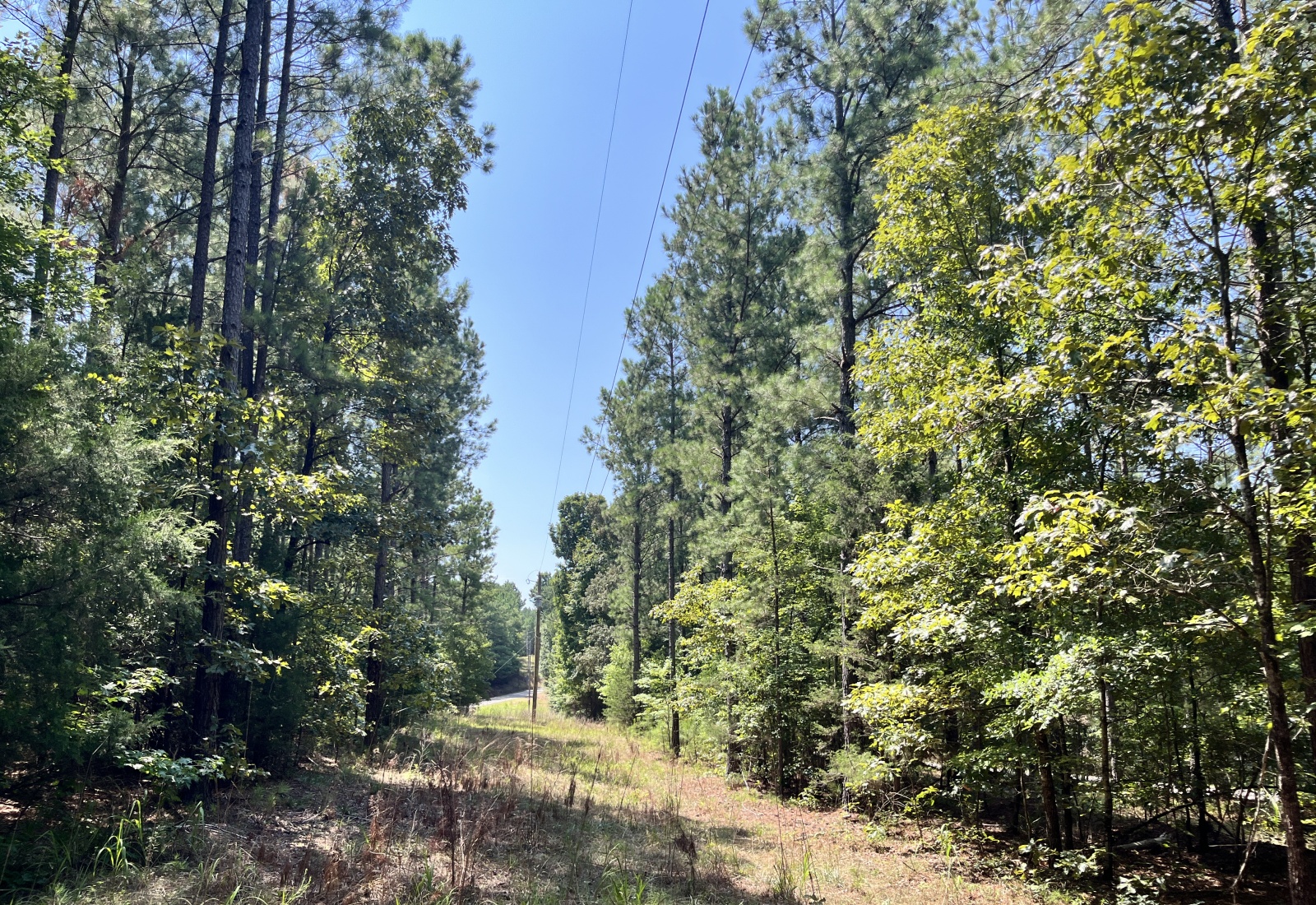 Abbeville County, 0 , 0 ,0,Land,Active,0,1212