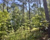 Abbeville County, 0 , 0 ,0,Land,Active,0,1212