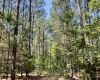 Abbeville County, 0 , 0 ,0,Land,Active,0,1212
