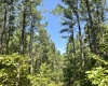 Abbeville County, 0 , 0 ,0,Land,Active,0,1212