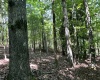 Abbeville County, 0 , 0 ,0,Land,Active,0,1212