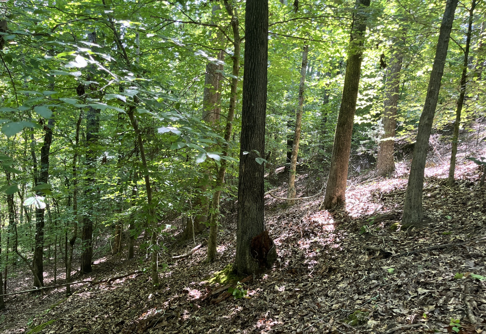 Abbeville County, 0 , 0 ,0,Land,Active,0,1212