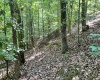 Abbeville County, 0 , 0 ,0,Land,Active,0,1212