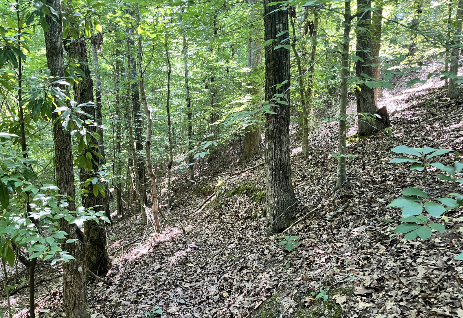 Abbeville County, 0 , 0 ,0,Land,Active,0,1212