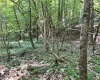Abbeville County, 0 , 0 ,0,Land,Active,0,1212