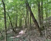 Abbeville County, 0 , 0 ,0,Land,Active,0,1212